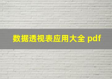 数据透视表应用大全 pdf